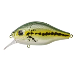 Kunstaas Gunki Dogora 100 F