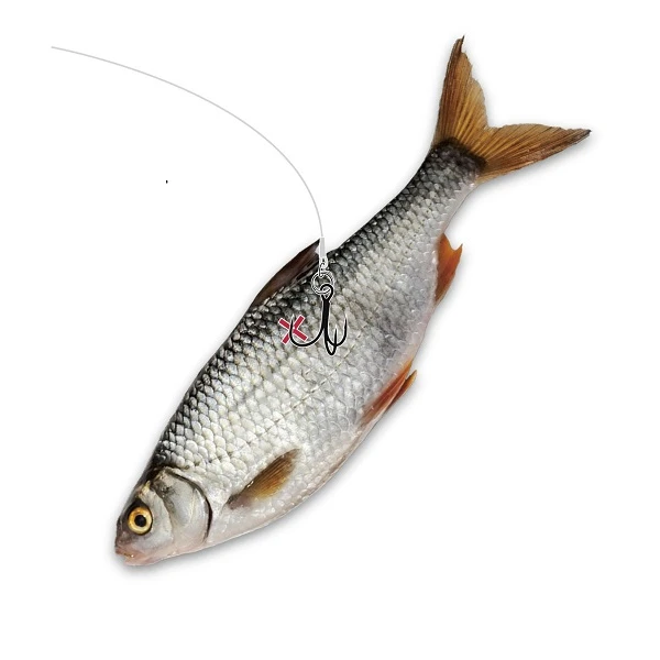 Mr Pike Ghost Onderlijn Float Rig 2 Mr Pike Ghost Onderlijn Float Rig - Afbeelding 2