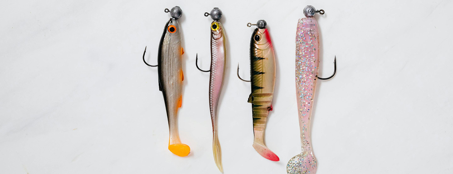 Fijn Vistuig -Fijn Vistuig pexels karolina grabowska 6478094